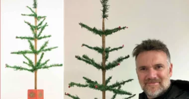 Pema e Krishtlindjes 103-vjeçare shitet për 4000 dollarë