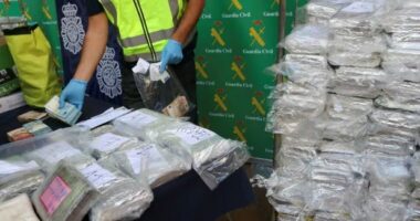 Berna po shqyrton legalizimin e kokainës për përdorim rekreativ