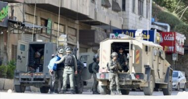 Izraeli ka arrestuar rreth 4 800 palestinezë në Bregun Perëndimor që prej tetorit