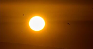 Paralajmërimi i shkencëtarëve: Rreth 3 miliardë njerëz mund të ekspozohen ndaj të nxehtit në mbarë botën