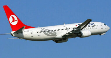 Turkish Airlines planifikon të blejë 355 avionë Airbus brenda dekadës së ardhshme