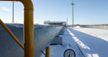 Çmimet e gazit parashikohet të arrijnë nivelet më të larta deri në 2031 në Europë