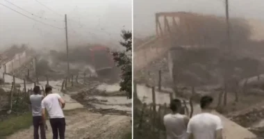 VIDEO/ Momenti i frikshëm kur shirat e dendur rrënuan një urë në Argjentinë