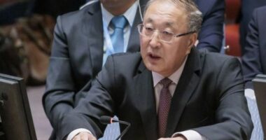 Ambasadori kinez: Palestina të bëhet anëtare me të drejta të plota e OKB-së
