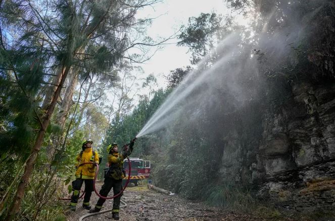 Kolumbia shpall gjendjen e fatkeqësisë natyrore për shkak të zjarreve