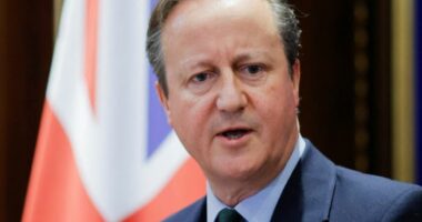 Situata në botë/ Cameron: Jemi si në vitet ’30. Putin po luan rolin e Hitlerit, duhet t’i rezistojmë të keqes që përfaqëson pushtimi i tij