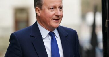 David Cameron do t&euml; vizitoj&euml; Lindjen e Mesme t&euml; m&euml;rkur&euml;n