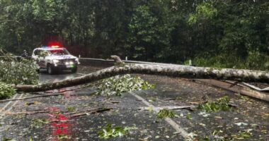 Pas valës ekstreme të të nxehtit, Australia përfshihet nga moti i keq, mijëra pa energji elektrike