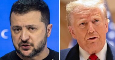 Zelensky fton Trump në Kiev, por me një kusht