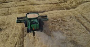 Rusia: Nuk ka asnjë perspektivë për ringjalljen e marrëveshjes së grurit