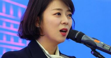 Ndodh sërish në Korenë e Jugut, goditet me gur deputetja