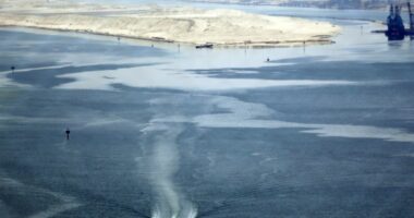 Bota nuk mund të mbështetet te SHBA për të ruajtur paqen tregtare
