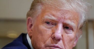 Dita e dytë e gjyqit civil të Trump, ish presidenti mund të përjashtohet nga seanca