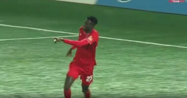 VIDEO/ Fest&euml; n&euml; &ldquo;Aren&euml;n e Demave&rdquo;, Partizani nd&euml;shkon La&ccedil;in