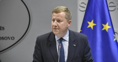 Szunyog: Është e rëndësishme të mbahen sa më shpejt zgjedhjet në veri