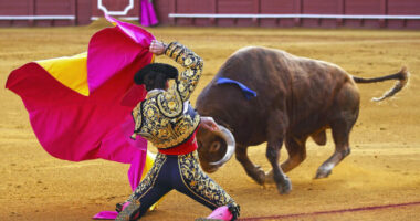 Meksika po rikthen ndeshjet me dema