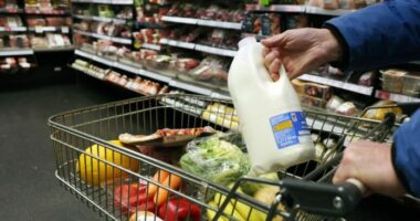 Portugalia ndryshon skemën, rikthen TVSH-në për dhjetëra produkte thelbësore