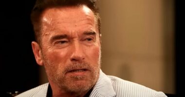 Schwarzenegger pagoi një gjobë prej 35,000 euro për një orë 26,000 euro