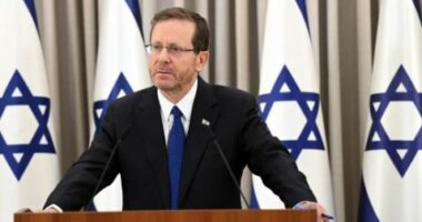 Presidenti izraelit: Padia për gjenocid në gjykatën ndërkombëtare, mizore dhe absurde