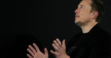 Elon Musk parashikon një botë pa para deri në vitin 2036, deklarata ngjall diskutime