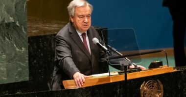 Dyshohen si të përfshirë në sulmin e Hamasit ndaj Izraelit, pushohen nga puna 9 punonjës të OKB-së