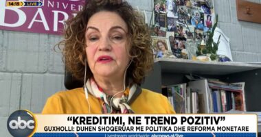 Kreditimi në rritje/ Ekspertja: Treguesit janë të mirë, por duhet të hartohen reforma strukturore