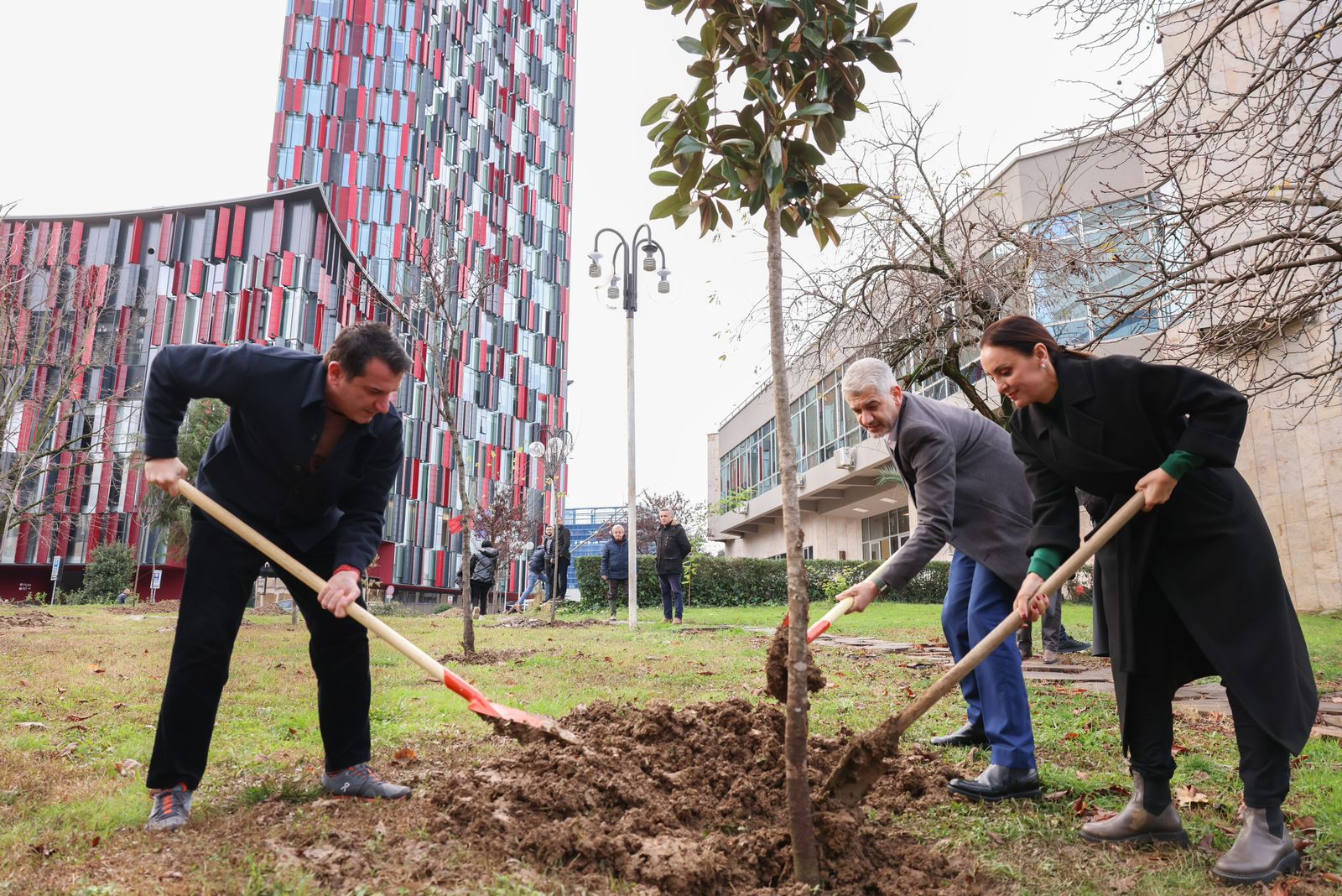 Tiranës i shtohen edhe 50 pemë, Veliaj: Shtojmë gjelbërimin në çdo cep të qytetit