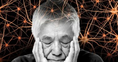 Zbulohet një metodë e re për diagnostikimin e sëmundjes së Alzheimerit