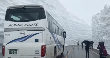 VIDEO/ Si duket qyteti me m&euml; shum&euml; bor&euml; n&euml; bot&euml;