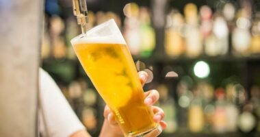 U konsiderua si “puna më e mirë në botë”, kompania e birrës nuk po gjen një person që plotëson kërkesat