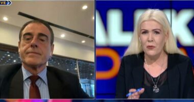 Deklaratat e Cameron dhe arrestimi i politikanit serb, Ibishi: Britania, mbështetëse e madhe për Kosovën!