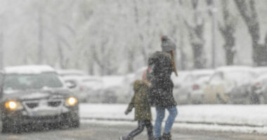 Gjobat për këmbësorët në Gjermani shkojnë deri në 350 euro