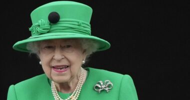 “I përdorur nga Mbretëresha Elizabeth”, dënohet i riu që mashtroi me shitjen e shkopit