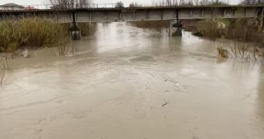 Del nga shtrati lumi Ishëm, përmbyten disa hektarë tokë bujqësore, rrezikohen disa banesa në Krujë