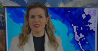 Mot i kthjellët, por me ngrica/ Ja kur pritet të rriten temperaturat, parashikimi për javën