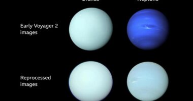 Urani dhe Neptuni janë më të ngjashëm nga sa mendohej më parë