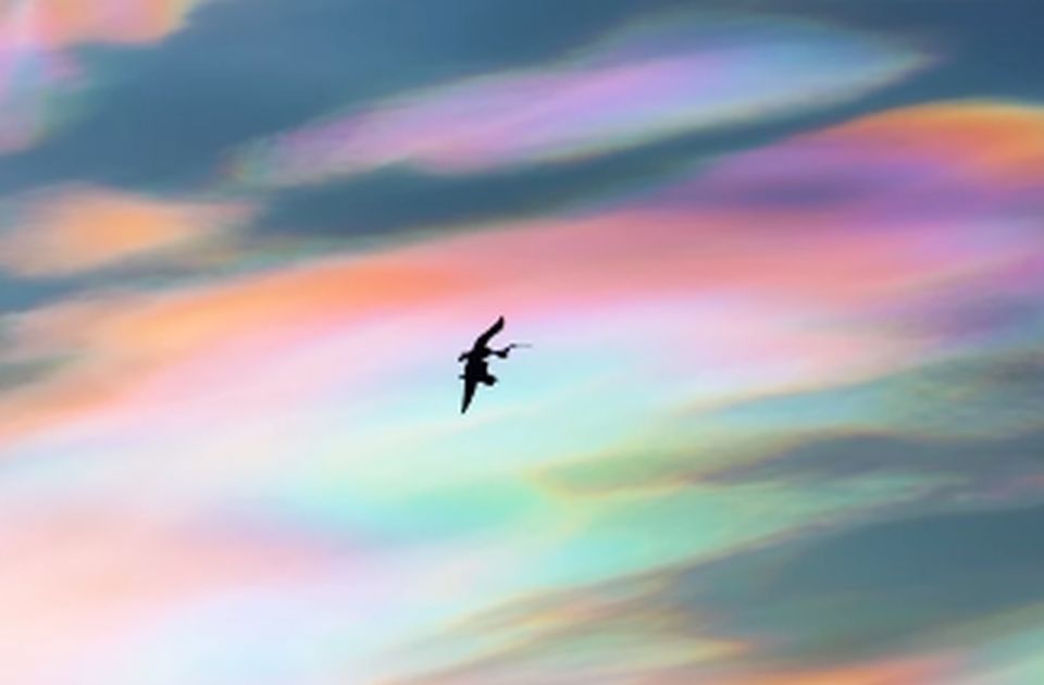 VIDEO/ Regjistrohet një fenomen i rrallë qiellor, re me ngjyra ylberi