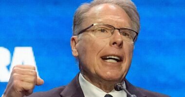 Akuzat për keqpërdorim të fondeve, jep dorëheqjen shefi ekzekutiv i ‘NRA’