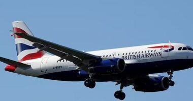 Shok në British Airways, piloti rrëmbehet dhe torturohet gjatë ndalesës në Afrikën e Jugut