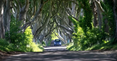 Britani/ Stuhia “Isa” shkatërroi pemët në vendin ku u xhirua “Game of Thrones”