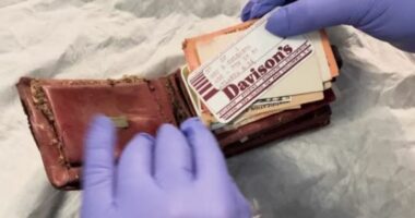 Gjendet pas 65 vitesh, portofoli i humbur në kinema