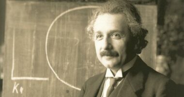 Më inteligjent se Ajnshtajni dhe Hawking, 12-vjeçari pranohet në “Mensa”