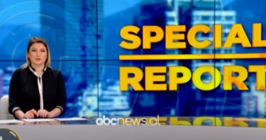 Special Report me Kasandra Palin, (01/01/2024)