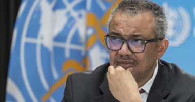 Paralajmëron SHBA: Marrëveshja globale për pandeminë rrezikon të shpërbëhet