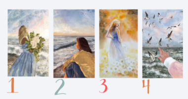 Test personaliteti/ Zgjidhni një imazh dhe zbuloni se çfarë ju tërheq në dashuri