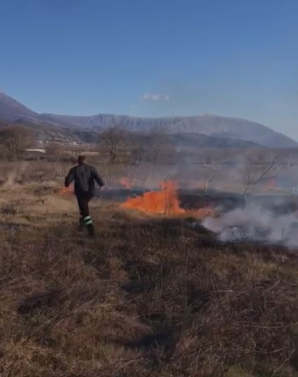 VIDEO/ Përfshihet nga flakët një parcelë kullote në Gjirokastër, ndërhyjnë zjarrfikësit