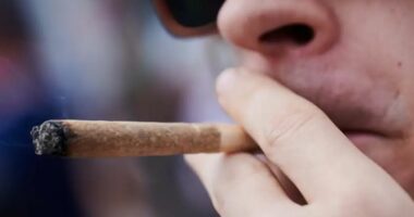 Parlamenti gjerman miraton projektligjin për legalizimin e kanabisit