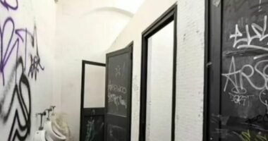 Përdhunimi i 13-vjeçares në Itali, Mateo Salvini: Kastrim kimik për autorët!