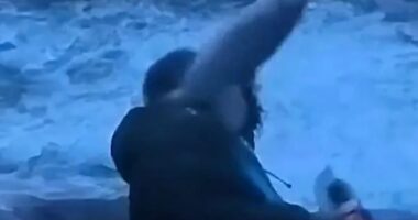 VIDEO/ Ishte duke raportuar për motin e keq, gazetari “sulmohet” nga një peshk