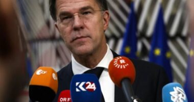 Rute: Mjaft u ankuat për Trump. Ukraina ka nevojë për ndihmë